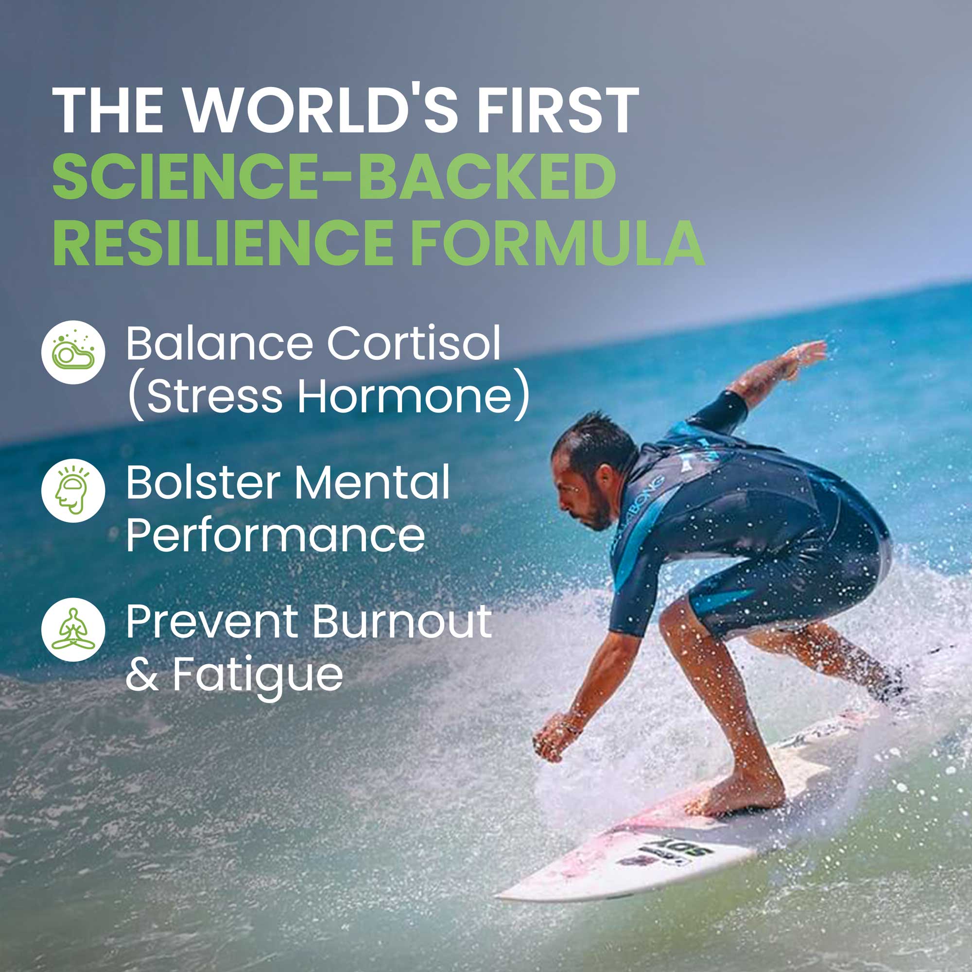 ADAPTOGEN GREENS - Mind-Body Resilience Formula - Image 5