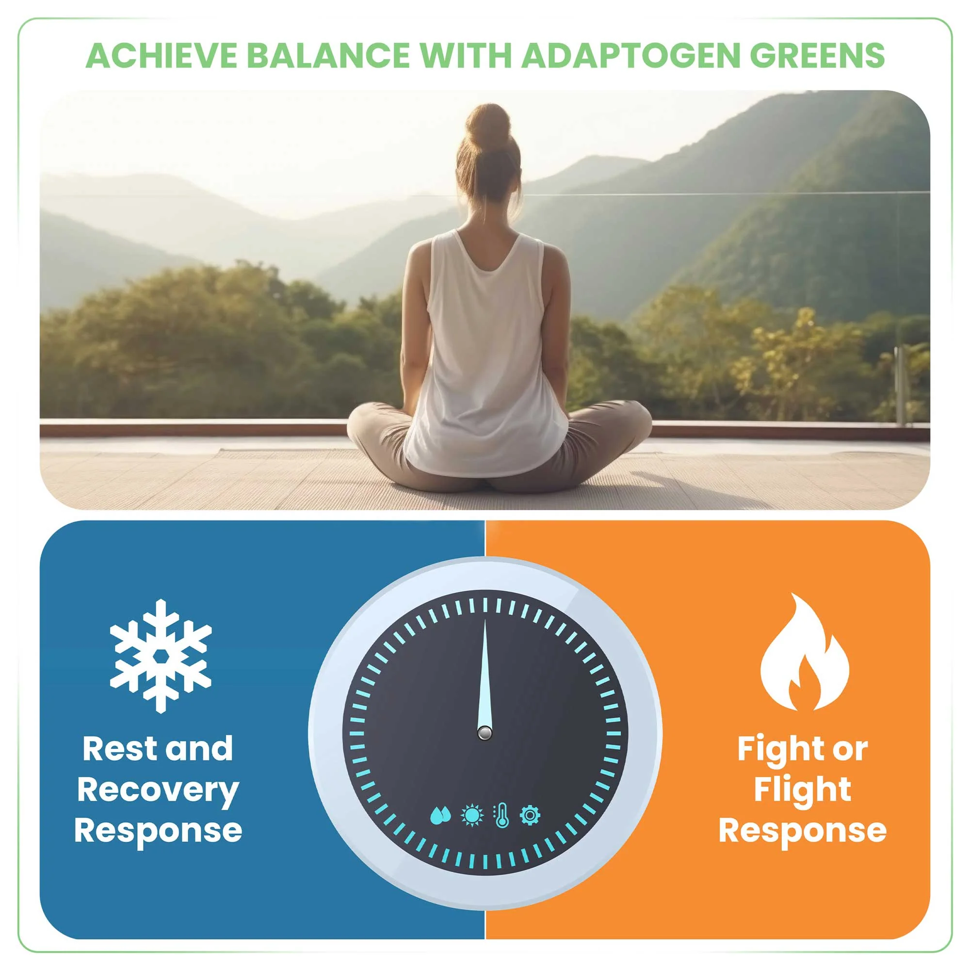 ADAPTOGEN GREENS - Mind-Body Resilience Formula - Image 9