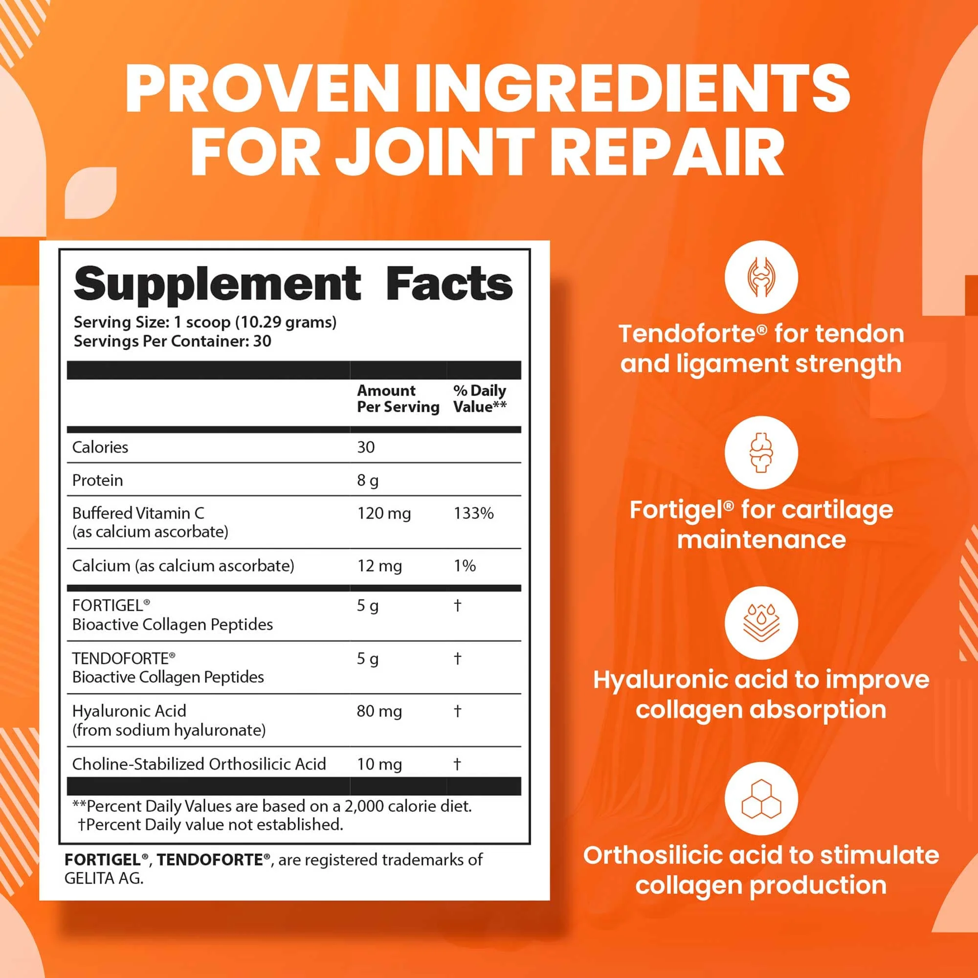 COLLAGEN SYNTHESIS - Collagen Peptides for Tendon, Ligament, & Cartilage Support - Image 4