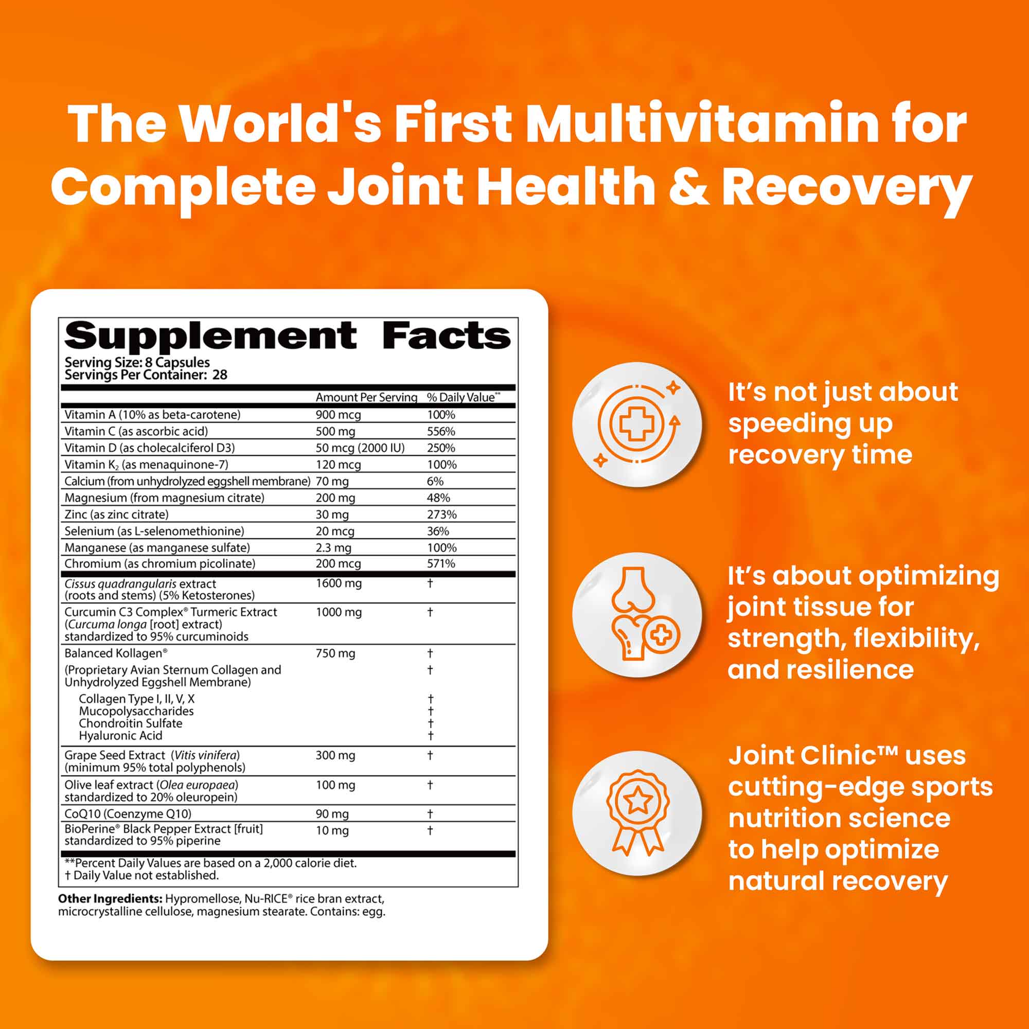 JOINT CLINIC - Joint Recovery Multivitamin - Image 3