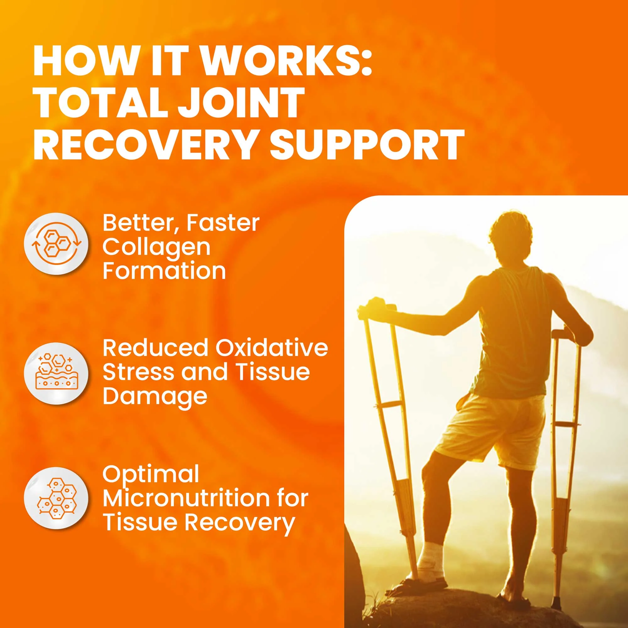 JOINT CLINIC - Joint Recovery Multivitamin - Image 4
