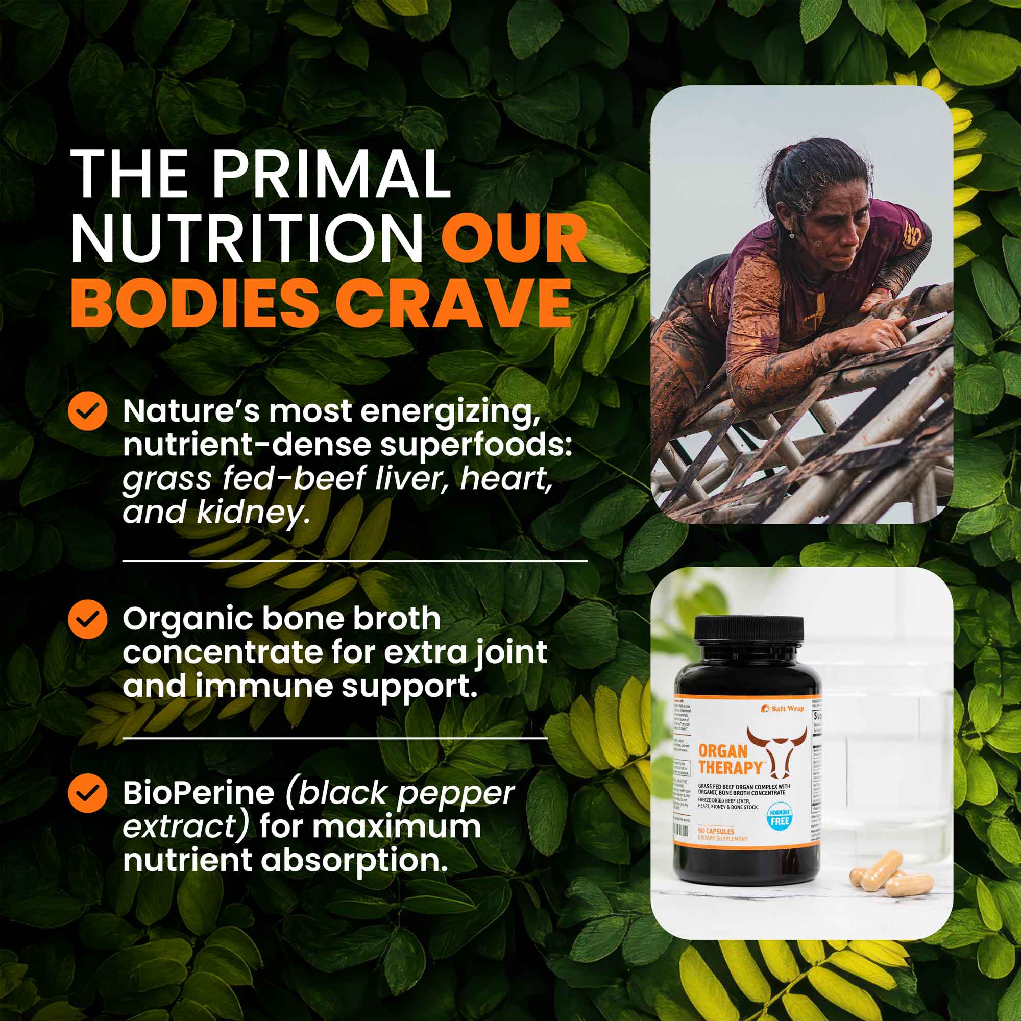 ORGAN THERAPY - Grass Fed Beef Organ Complex - Image 3