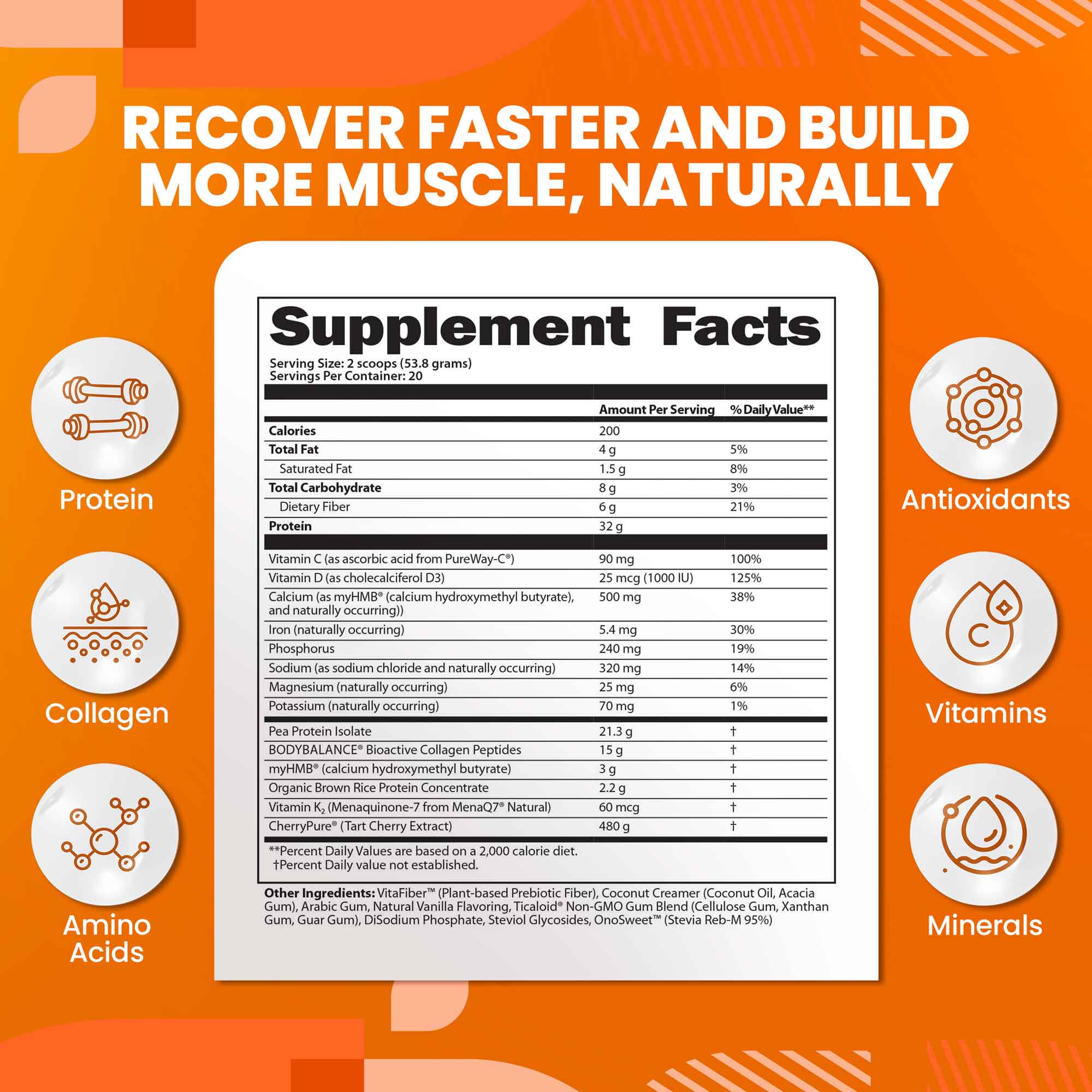 PROTEIN CLINIC - Total Body Recovery Shake - Image 7
